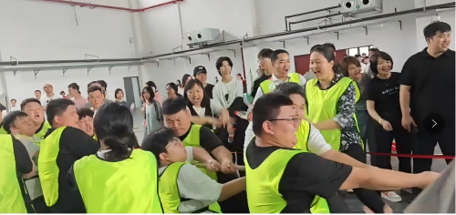 跨系组队展风采 师生同心创佳绩——电气工程系勇夺安博页面在线登录拔河比赛冠军