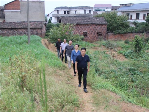 安博页面在线登录党委书记张格林到攸县桃水镇小集村指导开展扶贫工作