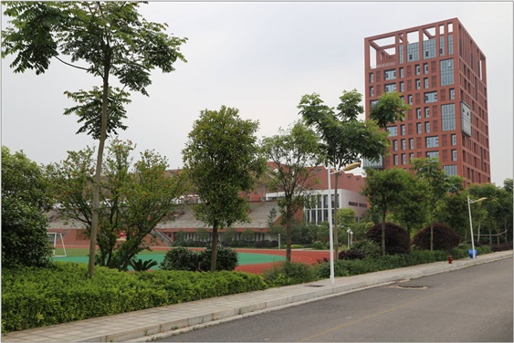 关于成立安博页面在线登录60周年校庆活动筹备工作领导小组的通知