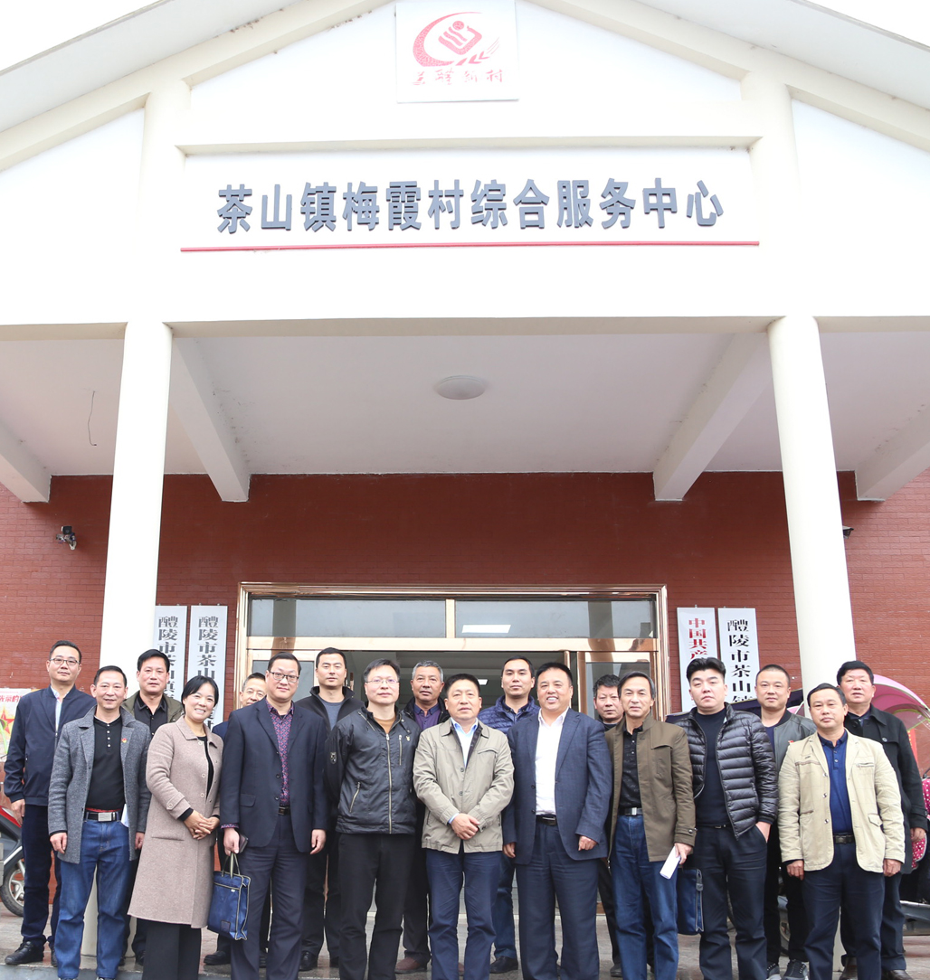安博页面在线登录党委书记张格林深入茶山镇梅霞村指导脱贫攻坚工作